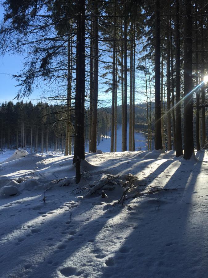 Apartmány Sportrelax Albrechtice v Jizerskych horach Exteriér fotografie